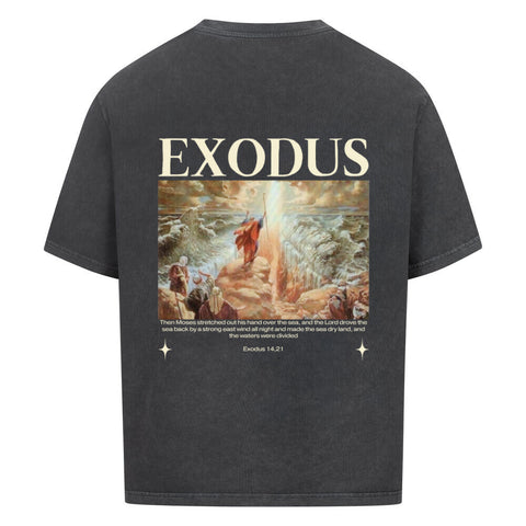 Oversized T-Shirt / Exodus
