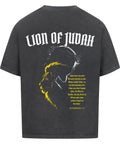 Oversized T-Shirt / Lion of Juda