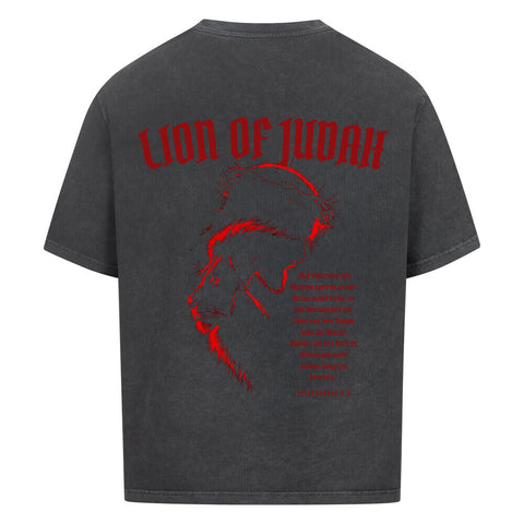 Oversized T-Shirt / Lion of Judah