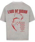 Oversized T-Shirt / Lion of Judah